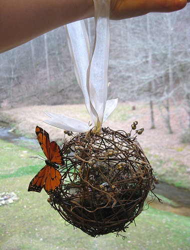 4497633057_5491e7daed