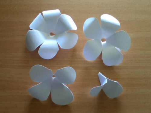 tumblr ly6og9aZ3z1qgy2jqo9 500