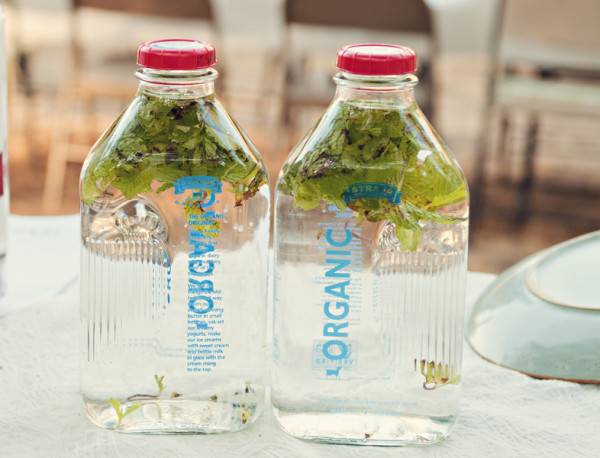 Bordador_Sandu_Mariela_Campbell_Photography_CocktailReception48_low