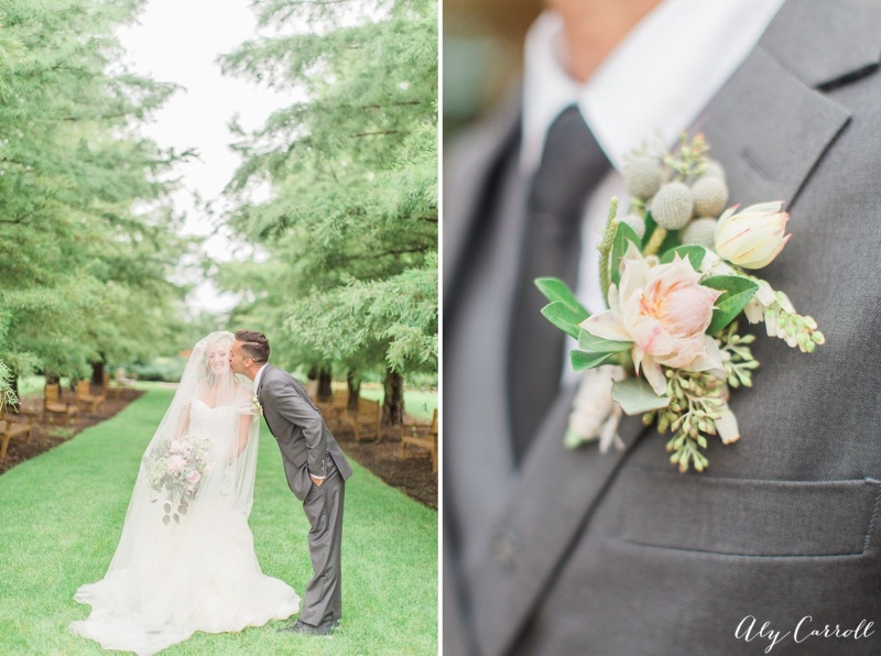 Photos by Aly Carroll