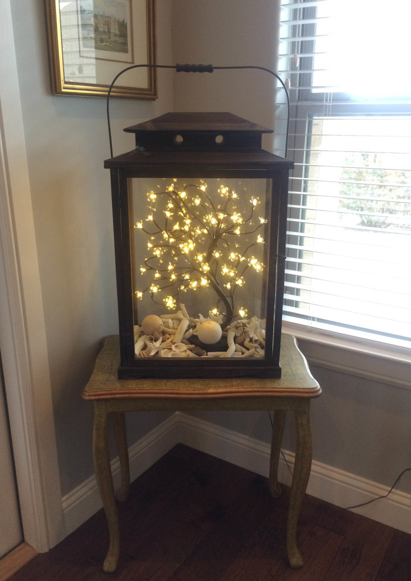 Made a light up terrarium table for summer porch enjoyment 🌿 : r/CozyPlaces