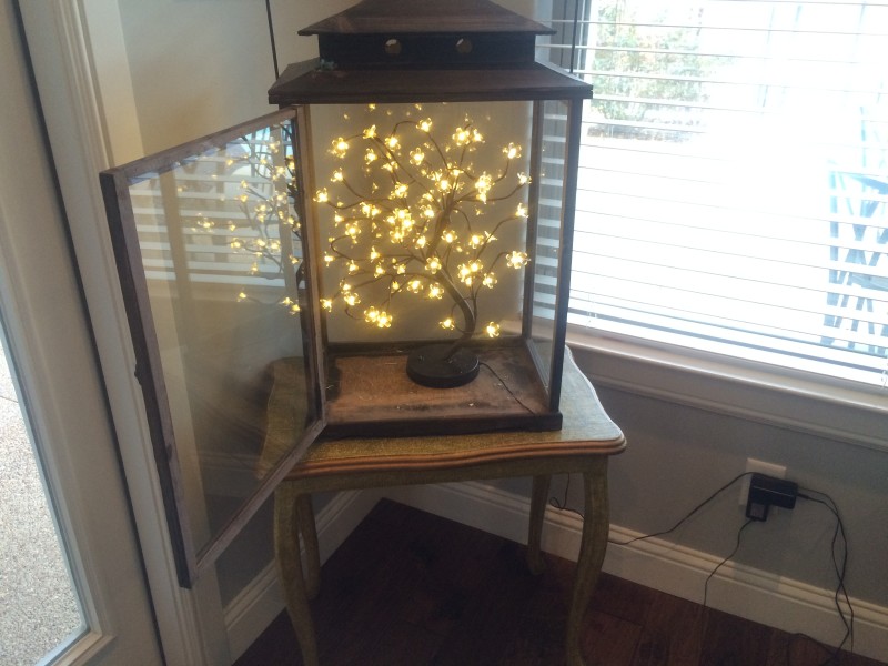Made a light up terrarium table for summer porch enjoyment 🌿 : r/CozyPlaces