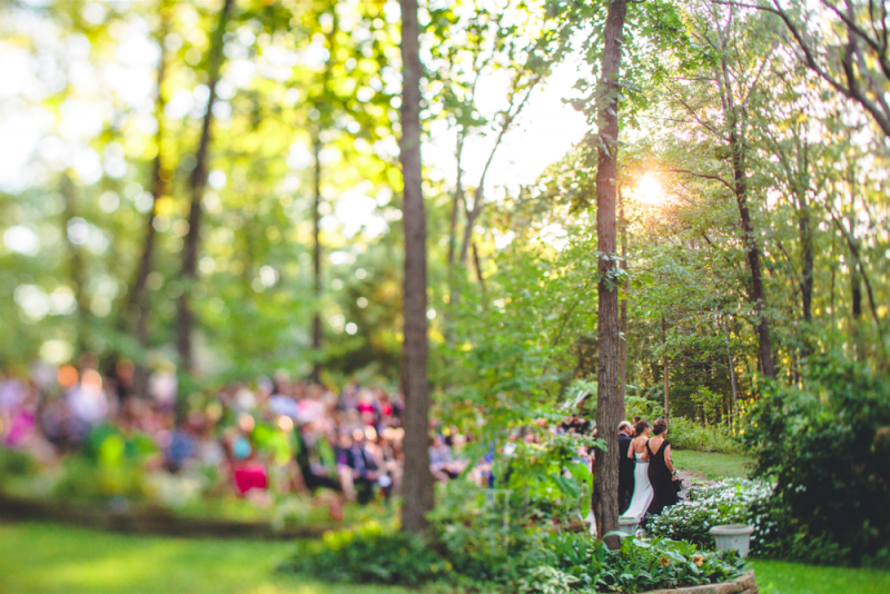 Non-traditional, Non-religious, NON-BORING Wedding Script!