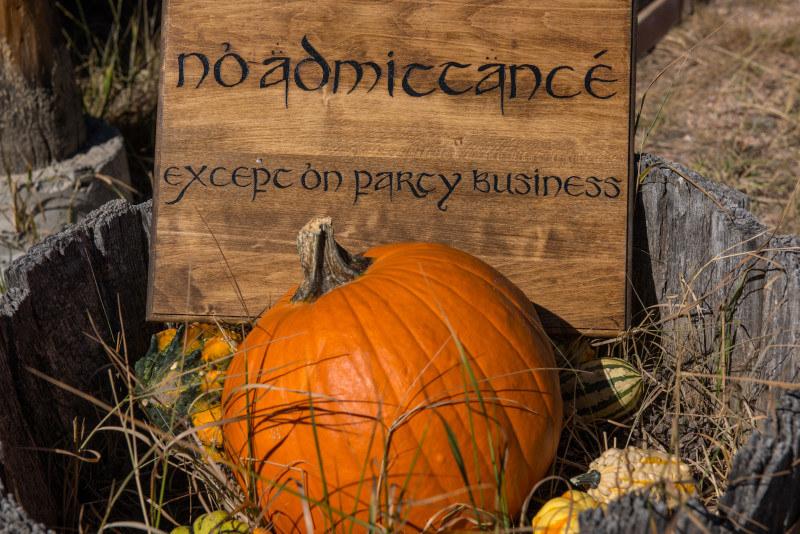 Colorado fantasy wedding as seen on @offbeatbride