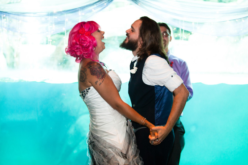 Zoo wedding as seen on @offbeatbride