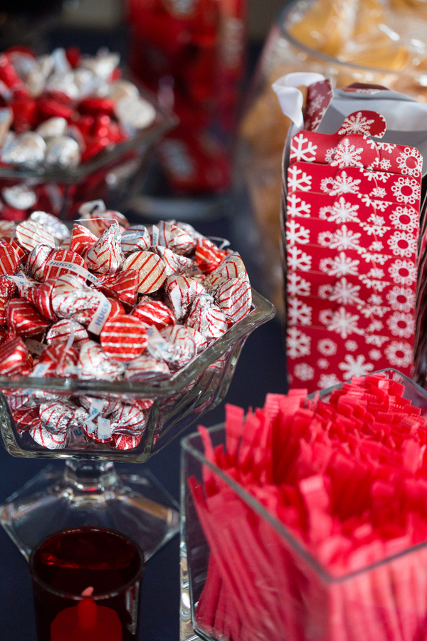 Whovian winter wedding