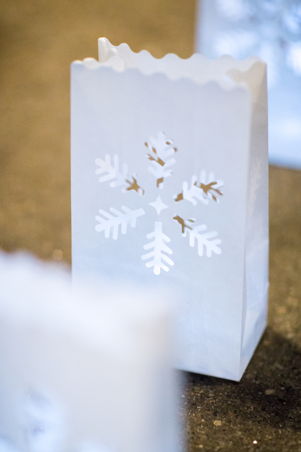 Whovian winter wedding