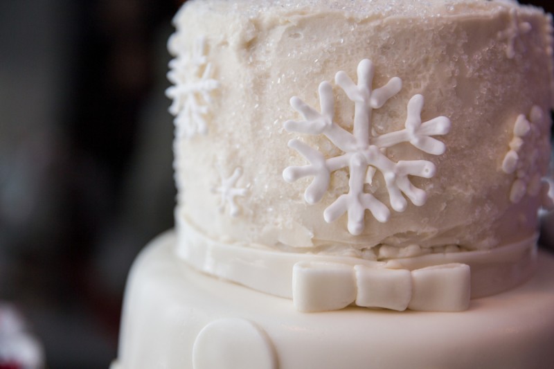 Whovian winter wedding