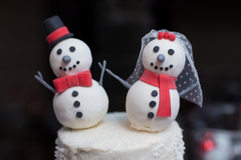 Whovian winter wedding