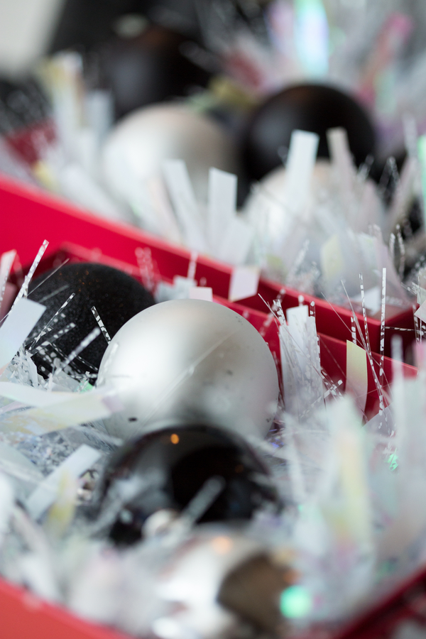 Whovian winter wedding