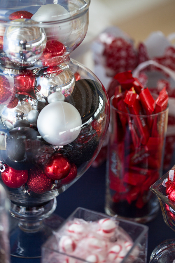 Whovian winter wedding