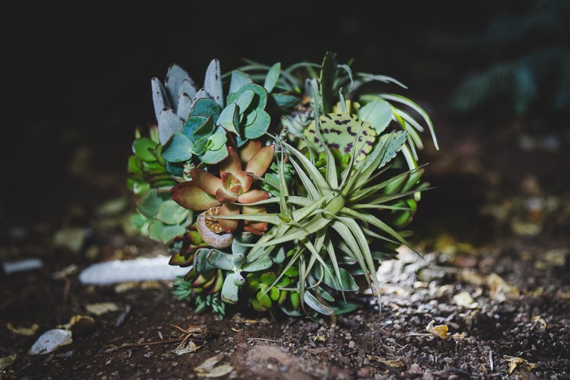 Succulent wedding headpiece as seen on @offbeatbride