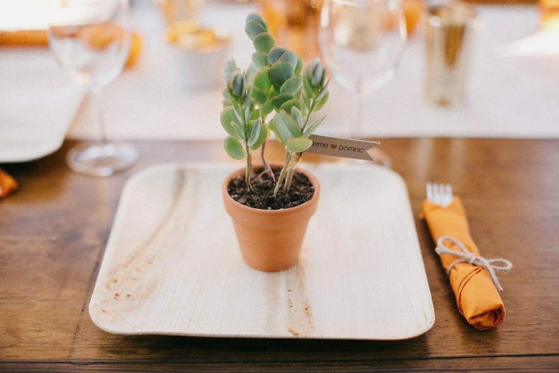 Backyard wedding as seen on @offbeatbride #vegan #wedding #california