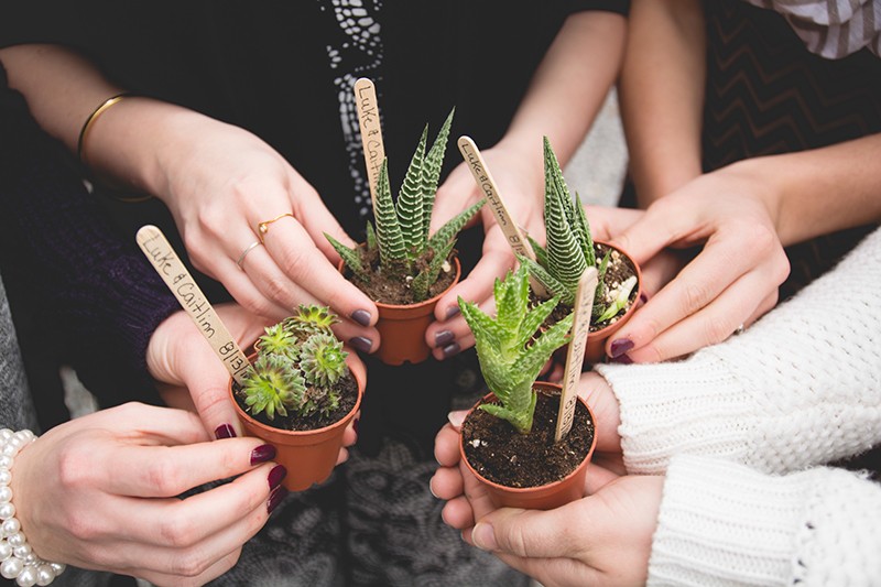 A greenhouse wedding shower as seen on @offbeatbride #wedding #shower