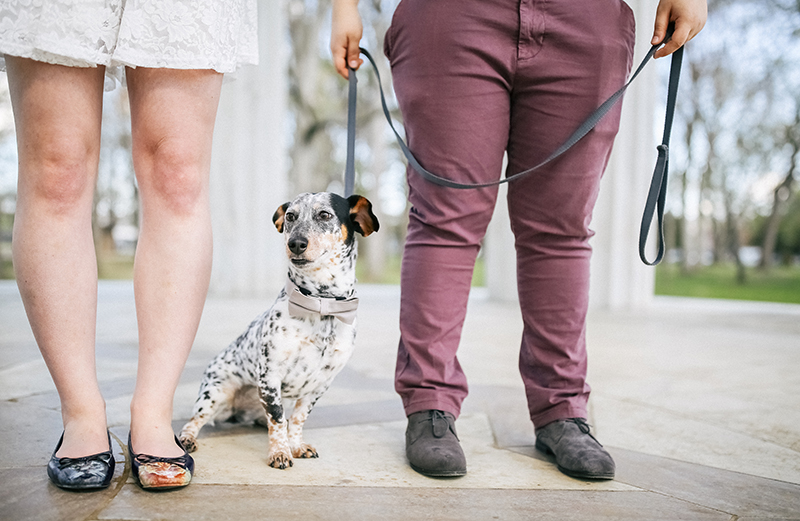 Hand-painted cat shoes as seen on @offbeatbride