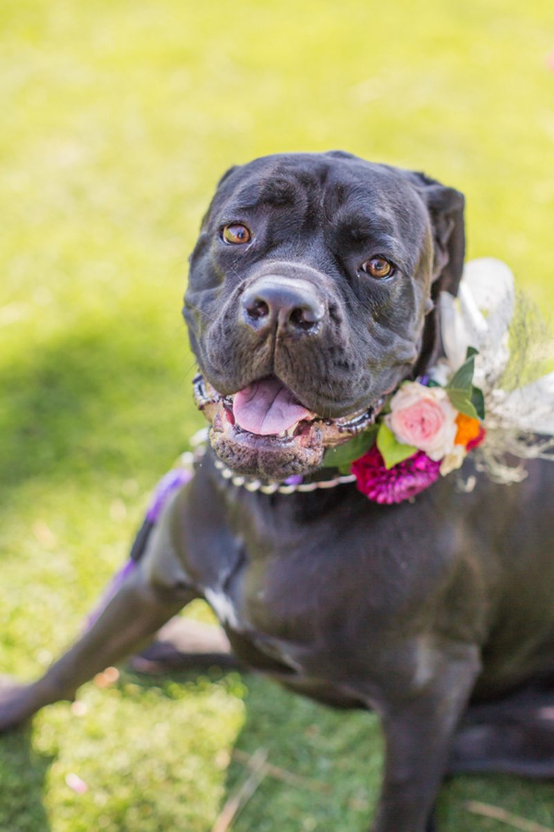 A beautiful outdoor wedding as seen on @offbeatbride #outdoor #wedding #lgbt