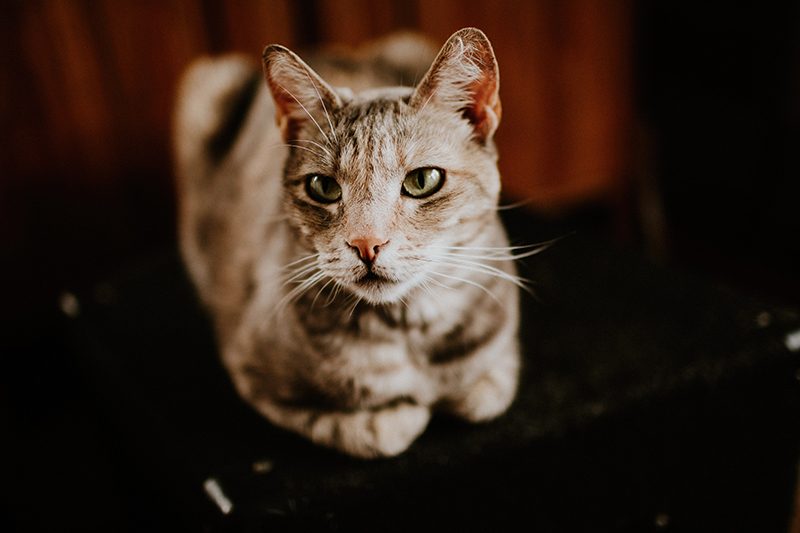 Vintage woodland wedding as seen on @offbeatbride