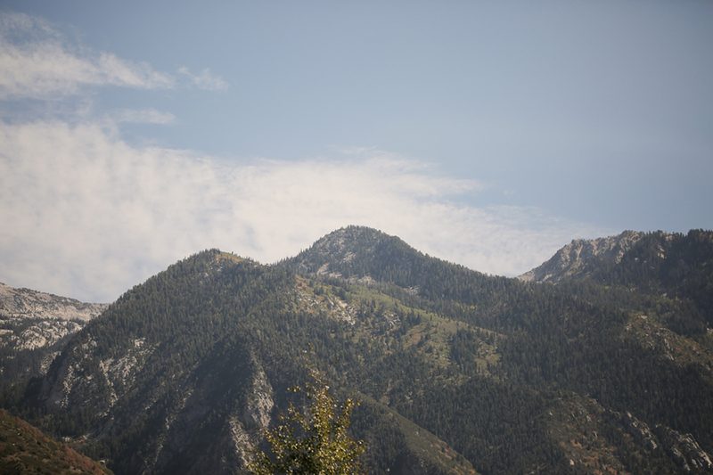 Wildflower wedding as seen on @offbeatbride