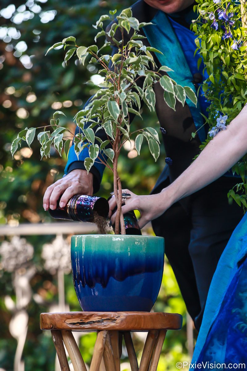 Get ready for the breathtaking handmade dress of everyone's dreams