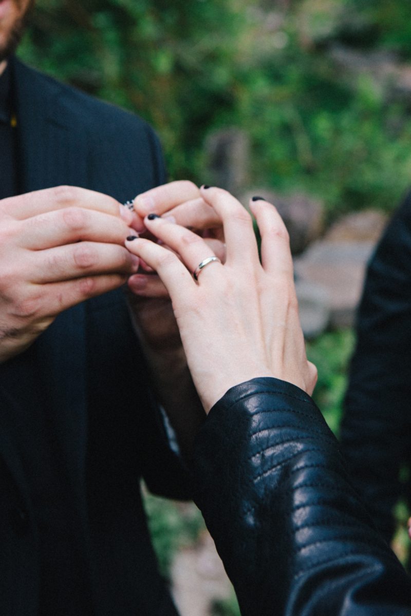 A Muppet officiated this cliffside New York wedding with a killer black dress