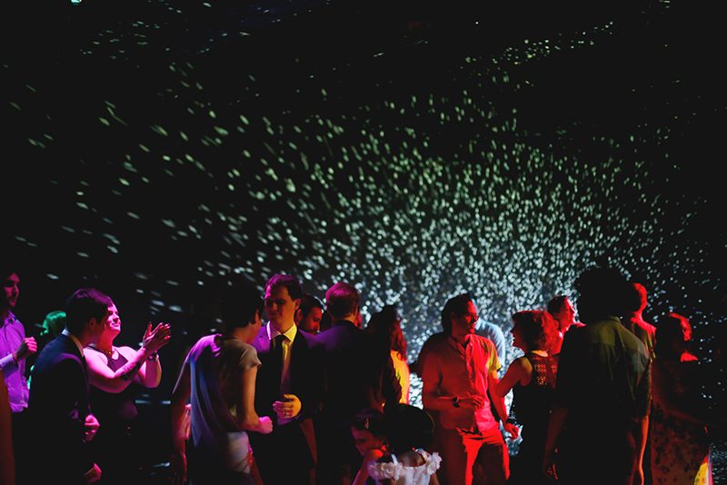Art meets science at a wonderfully weird wedding
