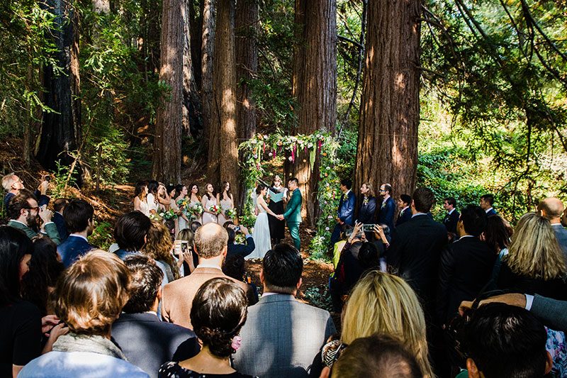 KwanLepore 1922 - Even wildfires couldn't ruin this redwoods wedding of two filmmakers (with the best "cake cutting" EVER!) Even wildfires couldn't ruin this redwoods wedding (with the best "cake cutting" EVER!)