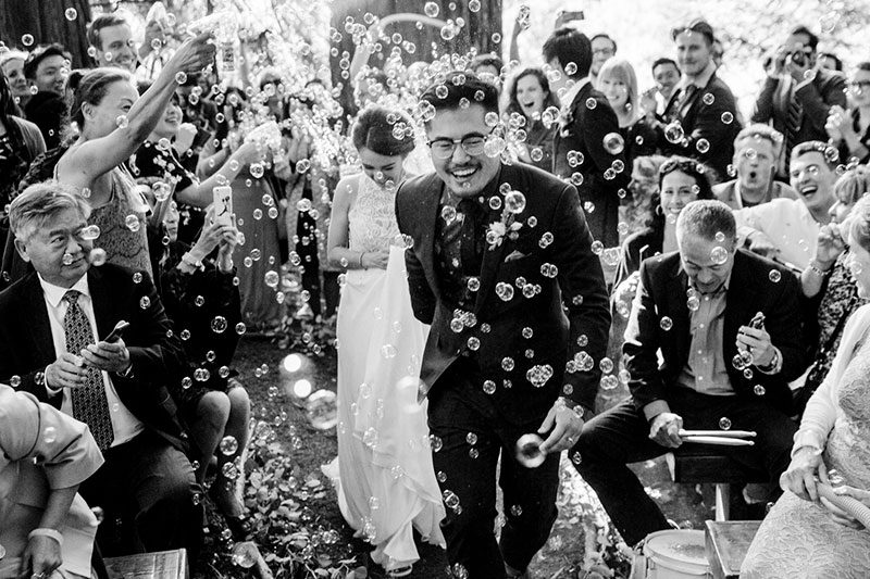 KwanLepore 2391 - Even wildfires couldn't ruin this redwoods wedding of two filmmakers (with the best "cake cutting" EVER!) Even wildfires couldn't ruin this redwoods wedding (with the best "cake cutting" EVER!)