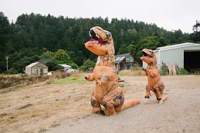 KwanLepore 3588 - Even wildfires couldn't ruin this redwoods wedding of two filmmakers (with the best "cake cutting" EVER!) Even wildfires couldn't ruin this redwoods wedding (with the best "cake cutting" EVER!)