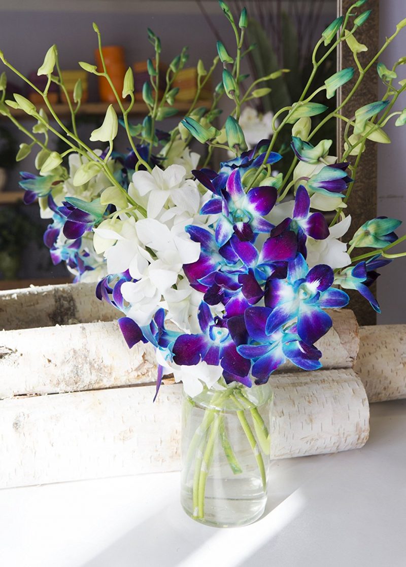 ouquet of 5 Blue Dendrobium Orchids 5 White Dendrobium Orchids from Thailand with Vase