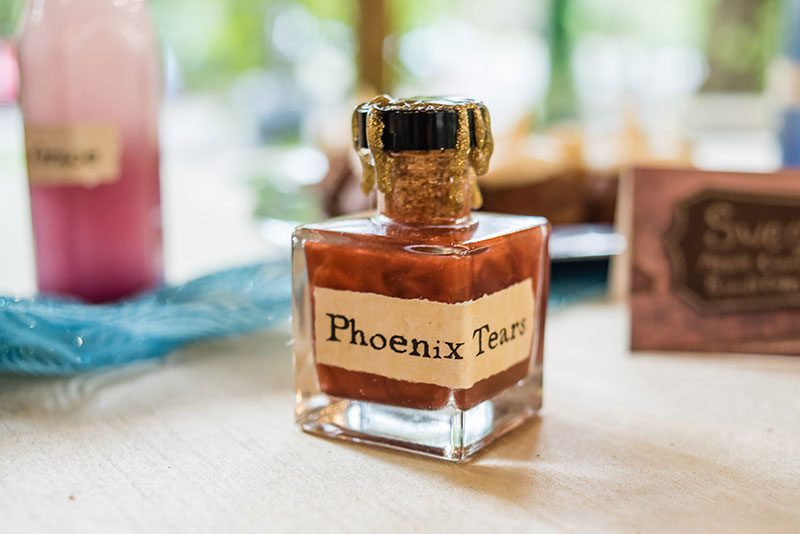 Our jaws dropped when we saw this geek adventure wedding