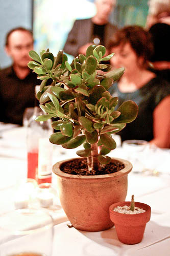 15 ways to throw an *affordable* eco-friendly wedding
