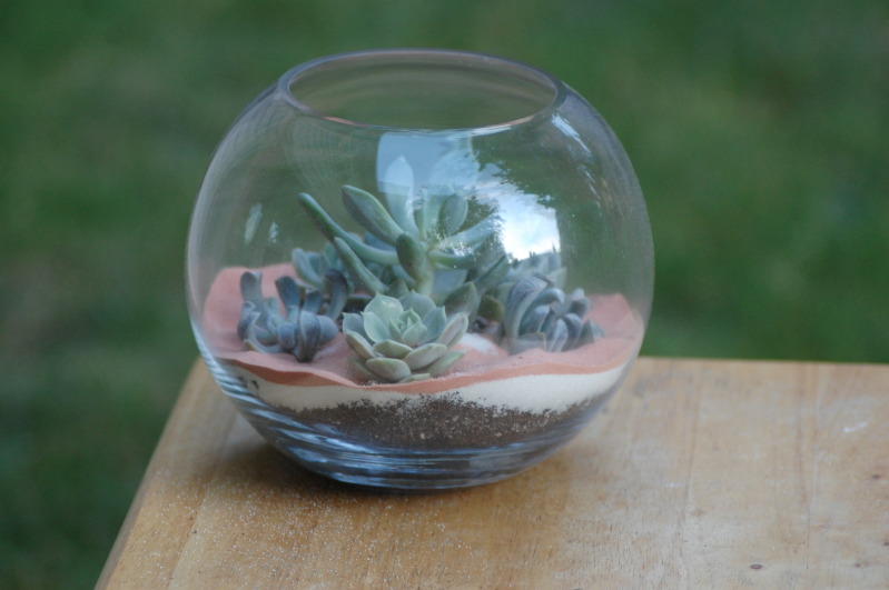 How to make your own succulent terrarium centerpieces • Offbeat Wed ...