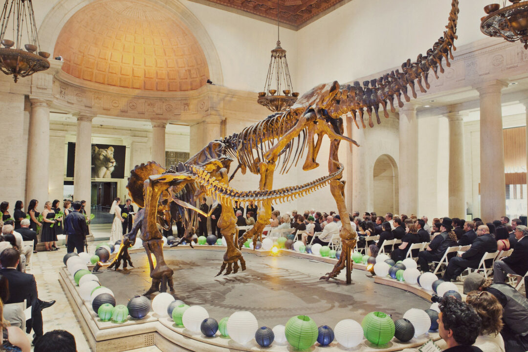 A geeky elegant dinosaur museum wedding at the Natural History Museum of Los Angeles County