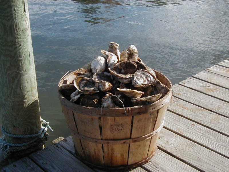 Steal this menu: Buffet-style, locally sourced, Eastern Shore wedding picnic