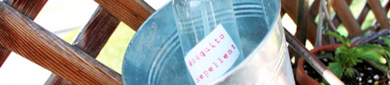 Give guests natural, handcrafted mosquito repellent at your late-summer wedding