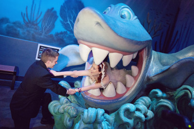 shark weddings