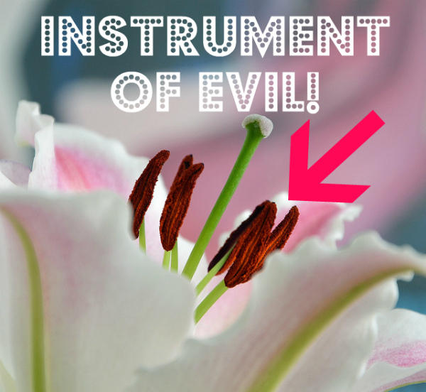 Snip the stamen and 12 other tiny, unexpected ways to minimize chaos on your wedding day
