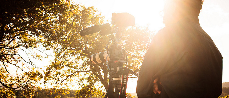 Wedding video real talk: Professional versus home movies