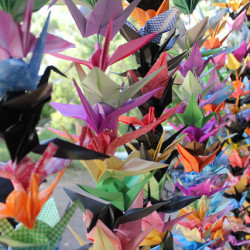 1000 paper cranes on @offbeatbride