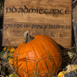 JessicaAndrew 11 - Costumes, elves, and the one ring: An epic fantasy and sci-fi literary adventure wedding Colorado fantasy wedding as seen on @offbeatbride