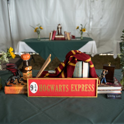 JessicaAndrew 16 - Costumes, elves, and the one ring: An epic fantasy and sci-fi literary adventure wedding Colorado fantasy wedding as seen on @offbeatbride