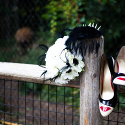 Alyssa GEoff 1001 - Find out how this zoo wedding convinced us to love "garbage plates" Zoo wedding as seen on @offbeatbride