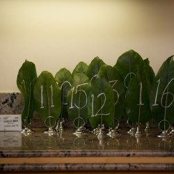 Tentacle teal wedding as seen on @offbeatbride