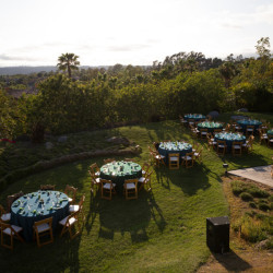 Tentacle teal wedding as seen on @offbeatbride