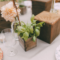 SHANNON AND JEN 308 - These two brides had a rustic redwoods wedding (despite a big challenge with some fiddlers!) Rustic redwoods wedding as seen on @offbeatbride