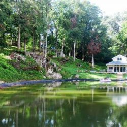 wedding9 19473455358 o - A water-themed polyamorous elopement at a lakeside bungalow A polyamorous elopement at a lakeside bungalow