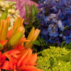 Pennsylvania rainbow wedding as seen on @offbeatbride
