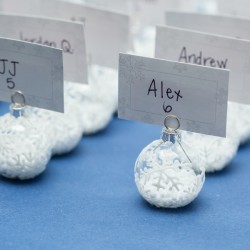 Whovian winter wedding