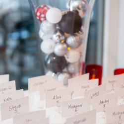 Whovian winter wedding