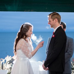 Whovian winter wedding